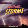 Joanne Mattern: Savage Storms, Buch