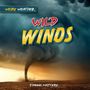 Joanne Mattern: Wild Winds, Buch