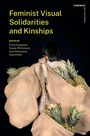 Feminist Visual Solidarities and Kinships, Buch