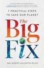 Hal Harvey: The Big Fix, Buch