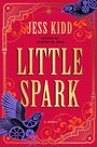 Jess Kidd: Little Spark, Buch