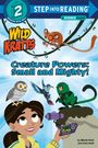 „Wild Kratts: Creature Powers: Small and Mighty!“ Zwei Figuren in Tieranzügen, ein Mädchen und ein Lemur auf einem Ast.