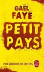 Gaël Faye: Petit pays, Buch