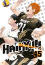 Haruichi Furudate: Haikyu!! - Band 45 (Finale), Buch