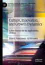 Ali Pirzadeh: Culture, Innovation, and Growth Dynamics, Buch