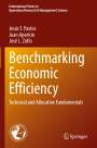 Jesús T. Pastor: Benchmarking Economic Efficiency, Buch