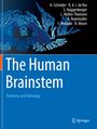 Hannsjörg Schröder: The Human Brainstem, Buch