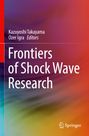 : Frontiers of Shock Wave Research, Buch