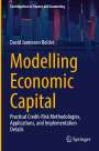 David Jamieson Bolder: Modelling Economic Capital, Buch