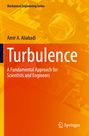 Amir A. Aliabadi: Turbulence, Buch