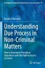 Ricardo Lillo Lobos: Understanding Due Process in Non-Criminal Matters, Buch