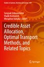 : Credible Asset Allocation, Optimal Transport Methods, and Related Topics, Buch