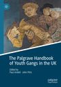 : The Palgrave Handbook of Youth Gangs in the UK, Buch