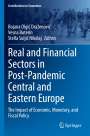 : Real and Financial Sectors in Post-Pandemic Central and Eastern Europe, Buch