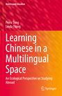 Linda Tsung: Learning Chinese in a Multilingual Space, Buch