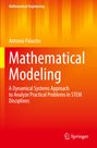 Antonio Palacios: Mathematical Modeling, Buch
