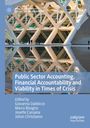 : Public Sector Accounting, Financial Accountability and Viability in Times of Crisis, Buch