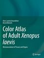 Bernd Minnich: Color Atlas of Adult Xenopus laevis, Buch