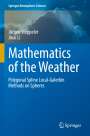 Jinxi Li: Mathematics of the Weather, Buch