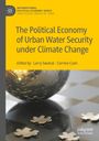 : The Political Economy of Urban Water Security under Climate Change, Buch