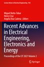 : Recent Advances in Electrical Engineering, Electronics and Energy, Buch