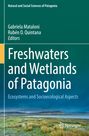 : Freshwaters and Wetlands of Patagonia, Buch