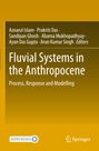: Fluvial Systems in the Anthropocene, Buch