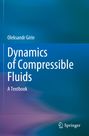 Oleksandr Girin: Dynamics of Compressible Fluids, Buch