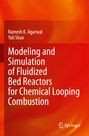 Yali Shao: Modeling and Simulation of Fluidized Bed Reactors for Chemical Looping Combustion, Buch