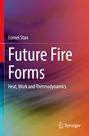 Cornel Stan: Future Fire Forms, Buch