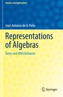 José-Antonio de la Peña: Representations of Algebras, Buch