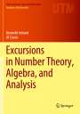 Al Cuoco: Excursions in Number Theory, Algebra, and Analysis, Buch