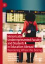 : Historically Underrepresented Faculty and Students in Education Abroad, Buch