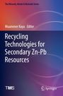 : Recycling Technologies for Secondary Zn-Pb Resources, Buch