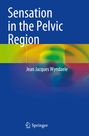 Jean Jacques Wyndaele: Sensation in the Pelvic Region, Buch