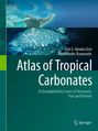 "Atlas of Tropical Carbonates" und Autoren, tropischer Küstenabschnitt von oben, türkisfarbenes Wasser.