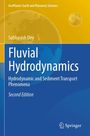 „Fluvial Hydrodynamics: Hydrodynamic and Sediment Transport Phenomena, Second Edition“ von Subhasish Dey. Gelb-blaues Cover.
