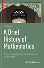 Tianxin Cai: A Brief History of Mathematics, Buch