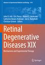 : Retinal Degenerative Diseases XIX, Buch