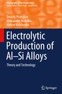 Dmitriy Pruttskov: Electrolytic Production of Al¿Si Alloys, Buch