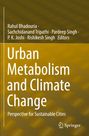 : Urban Metabolism and Climate Change, Buch