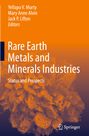 : Rare Earth Metals and Minerals Industries, Buch