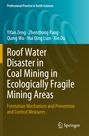 Yifan Zeng: Roof Water Disaster in Coal Mining in Ecologically Fragile Mining Areas, Buch