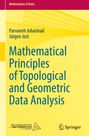 Jürgen Jost: Mathematical Principles of Topological and Geometric Data Analysis, Buch