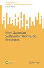 Ciprian Tudor: Non-Gaussian Selfsimilar Stochastic Processes, Buch