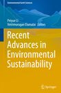 : Recent Advances in Environmental Sustainability, Buch