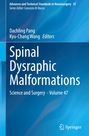 : Spinal Dysraphic Malformations, Buch
