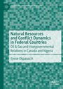 Text: "Natural Resources and Conflict Dynamics in Federal Countries" von Eyene Okpanachi. Grünes Schachbrettmuster.