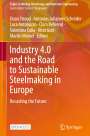 : Industry 4.0 and the Road to Sustainable Steelmaking in Europe, Buch