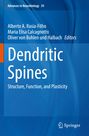 : Dendritic Spines, Buch